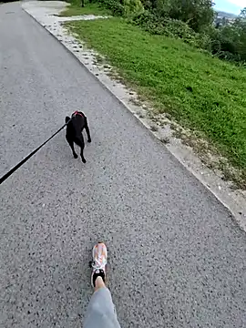 svenpfeifer online show from 09.16.25