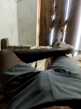 PolarFriend0 online show from 02.20.26