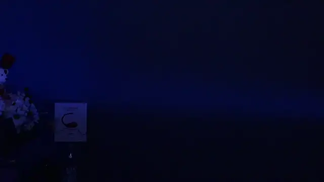 Snapshot of Amesthyst_destiny chatting on 03.22.25 Amesthyst destiny online show from 03.22.25