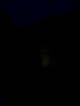 baby25cm online show from 02.13.26