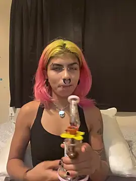 Harley cams online show from 09.10.25