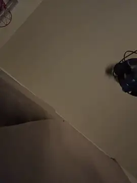 shurthingx online show from 03.24.26