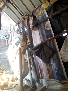 hot integer online show from 02.11.26