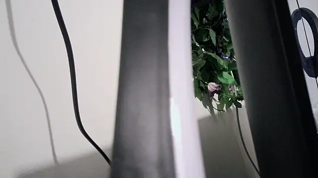 Snapshot of cherryboom23 chatting on 03.19.26 cherryboom23 online show from 03.19.26