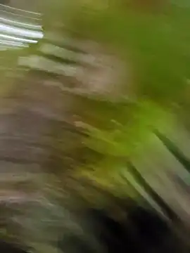 Pichoneterno online show from 03.08.26