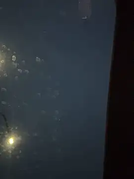 Eriksson00 online show from 12.19.25