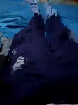 92donis online show from 12.01.25