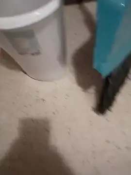 Crossedsissy online show from 03.10.26