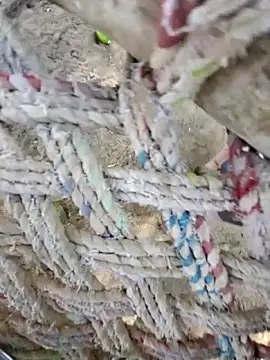 Naveen9100Unity online show from 04.12.26