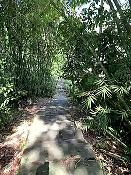 Snapshot of zack23088 chatting on 10.18.25 zack23088 online show from 10.18.25