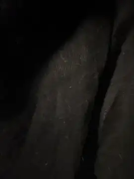 pikuslordpll online show from 12.23.25