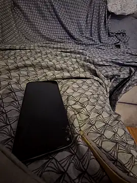 pikuslordpll online show from 04.26.26