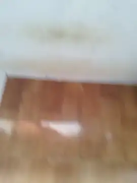 O Mascarado NK online show from 03.21.26