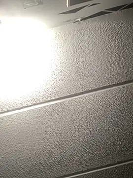 malek xarx  online show from 09.11.25