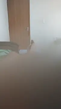 LeoMaduroSP online show from 05.27.26
