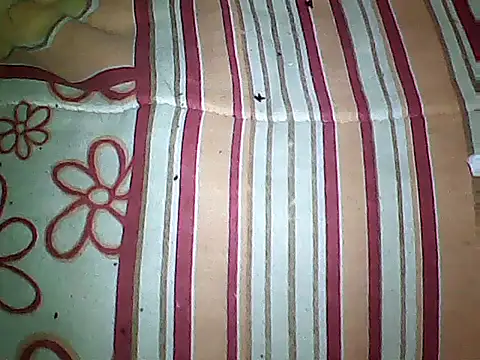 20cmloiro online show from 09.16.25