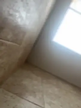 Noa Todokoro online show from 10.12.25