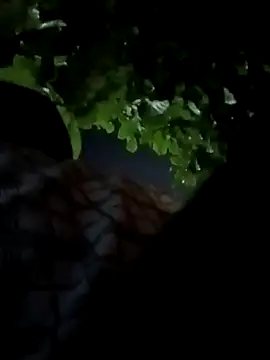 Rajopensex 955 online show from 03.21.26