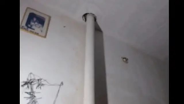 Snapshot of BebaFoxx chatting on 03.03.26 BebaFoxx online show from 03.03.26