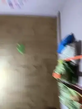 kiittyselenita online show from 04.12.26