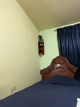 Snapshot of MaxDell chatting on 12.04.25 MaxDell online show from 12.04.25