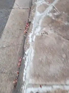 Snapshot of dickcurved38 chatting on 02.20.26 dickcurved38 online show from 02.20.26