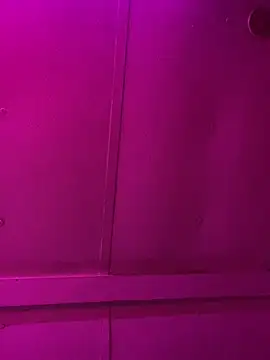 jcwxt online show from 03.01.26