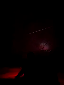 lis2025 online show from 03.14.26