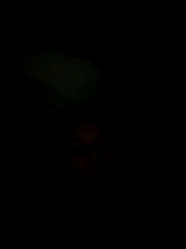 lis2025 online show from 03.21.26