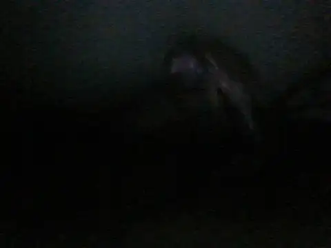 itachi thebro1 online show from 06.10.26