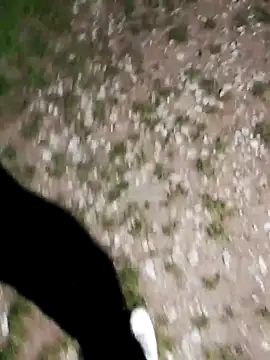 Snapshot of ARTANIS20 chatting on 10.21.25 ARTANIS20 online show from 10.21.25