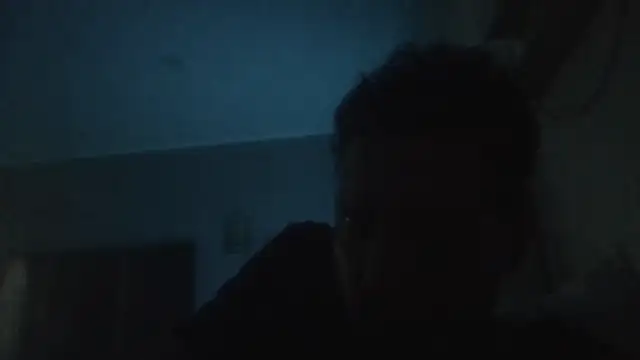 Snapshot of ARTANIS20 chatting on 11.06.25 ARTANIS20 online show from 11.06.25