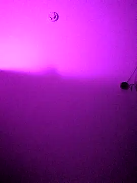 Snapshot of ARTANIS20 chatting on 11.25.25 ARTANIS20 online show from 11.25.25