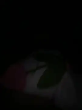 Snapshot of tarantan1993 chatting on 03.05.26 tarantan1993 online show from 03.05.26