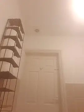 Snapshot of blueeyesss chatting on 02.22.26 blueeyesss online show from 02.22.26