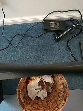 MyDick4You666 online show from 03.05.26