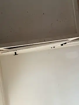 curis4270panda online show from 02.15.26