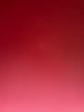 curis4270panda online show from 03.04.26