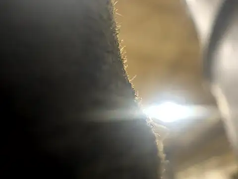 curis4270panda online show from 03.18.26