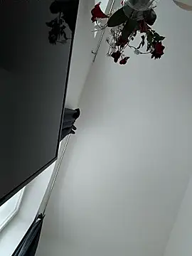 Snapshot of SexyLeon8 chatting on 01.14.26 SexyLeon8 online show from 01.14.26