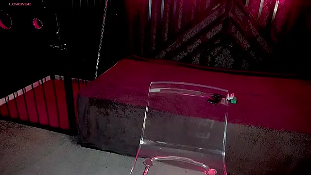 Snapshot of LiviaShy chatting on 12.02.25 LiviaShy online show from 12.02.25