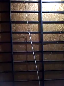 Snapshot of Meroya2 chatting on 11.01.25 Meroya2 online show from 11.01.25