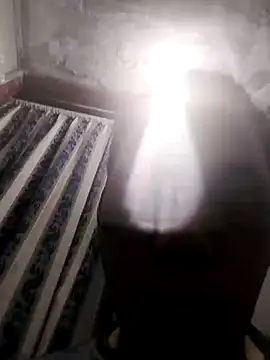 13elvergon online show from 11.25.25