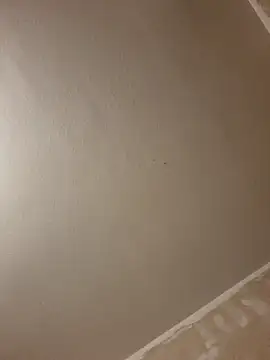 Snapshot of gazb90 chatting on 01.14.26 gazb90 online show from 01.14.26