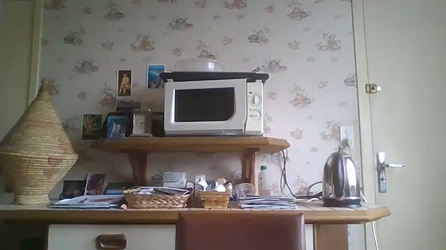 Snapshot of gegevincent chatting on 10.28.25 gegevincent online show from 10.28.25