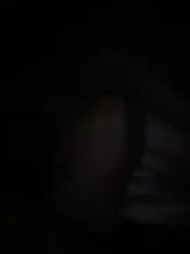 halopc online show from 02.03.26