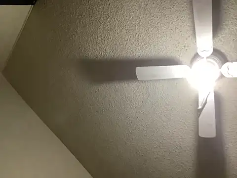 NiftyCaptain3 online show from 03.31.26