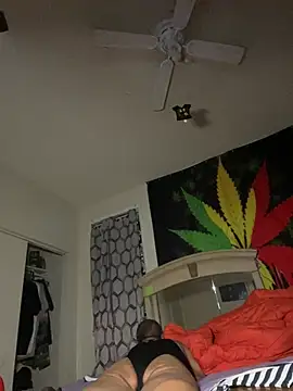 NiftyCaptain3 online show from 04.03.26