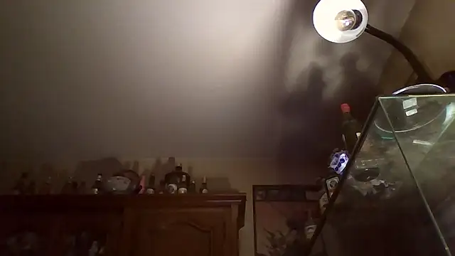 Snapshot of zipman92 chatting on 01.12.26 zipman92 online show from 01.12.26