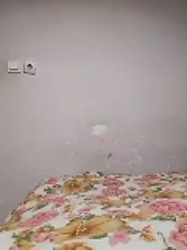 nihattttttttttttttt online show from 01.08.26